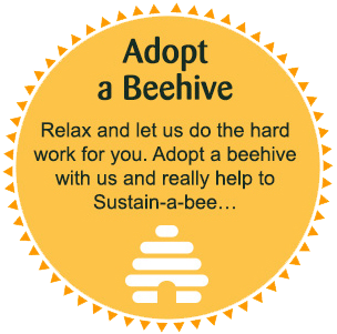 Adopt a beehive